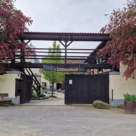 Moderne Ferienwohnung Black Beauty Auf Idyllischem Reiterhof Naehe Burg Eltz Münstermaifeld Exteriör bild