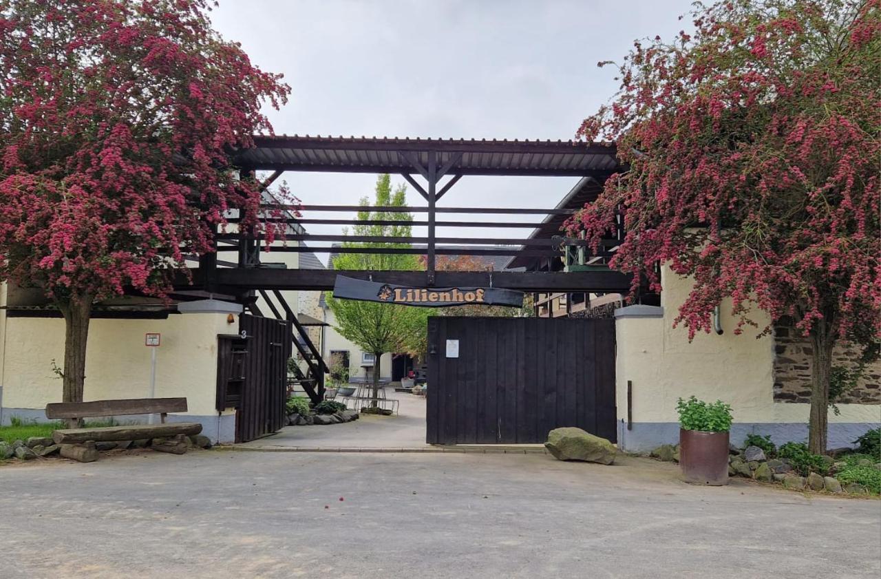 Moderne Ferienwohnung Black Beauty Auf Idyllischem Reiterhof Naehe Burg Eltz Münstermaifeld Exteriör bild