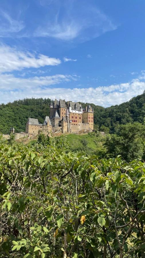 Moderne Ferienwohnung Black Beauty Auf Idyllischem Reiterhof Naehe Burg Eltz Münstermaifeld Exteriör bild